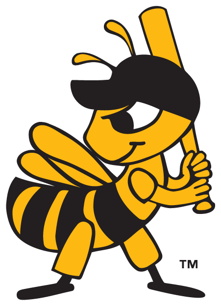 Salt Lake Bees 2006-pres alternate logo iron on heat transfer